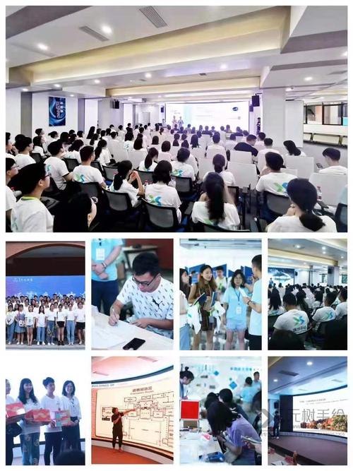 科技类营利性民办培训服务机构发展路径与合规框架解析